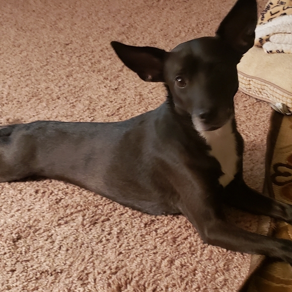 Christina - Picture 2 of 9